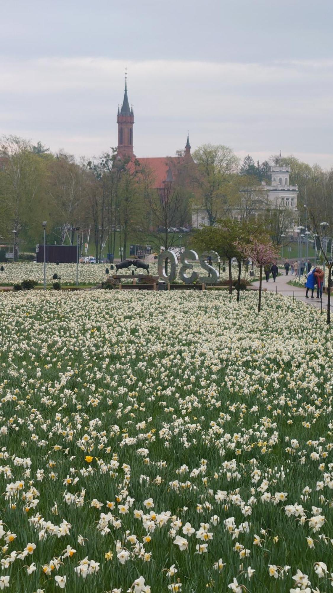 Druskininku Pasaga Druskininkai Luaran gambar
